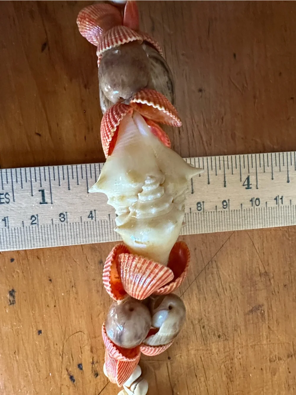 Bold Ocean Shell Necklace